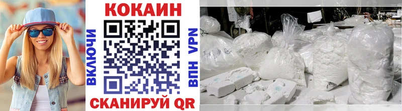 купить наркоту  Новая Усмань  COCAIN FishScale 