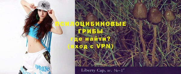дмт Магадан